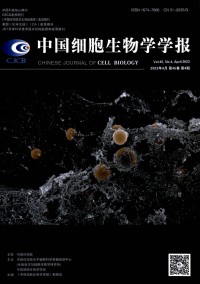 细胞生物学