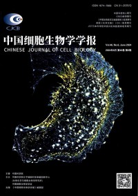 细胞生物学